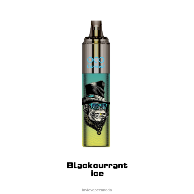 Blackcurrant Ice LAVIE OCO Carnival 10000 Puffs 24PF8348 | Lavie Bar Vape Price