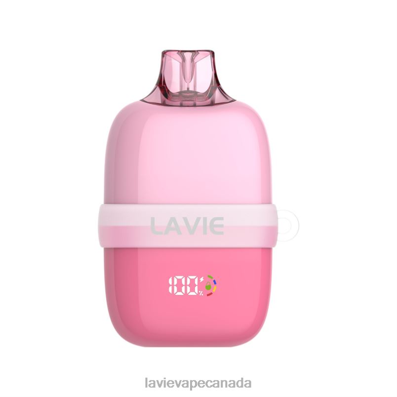 Strawberry Watermelon LAVIE INSIDER 12000 Puffs 24PF881 | Lavie Vape Review