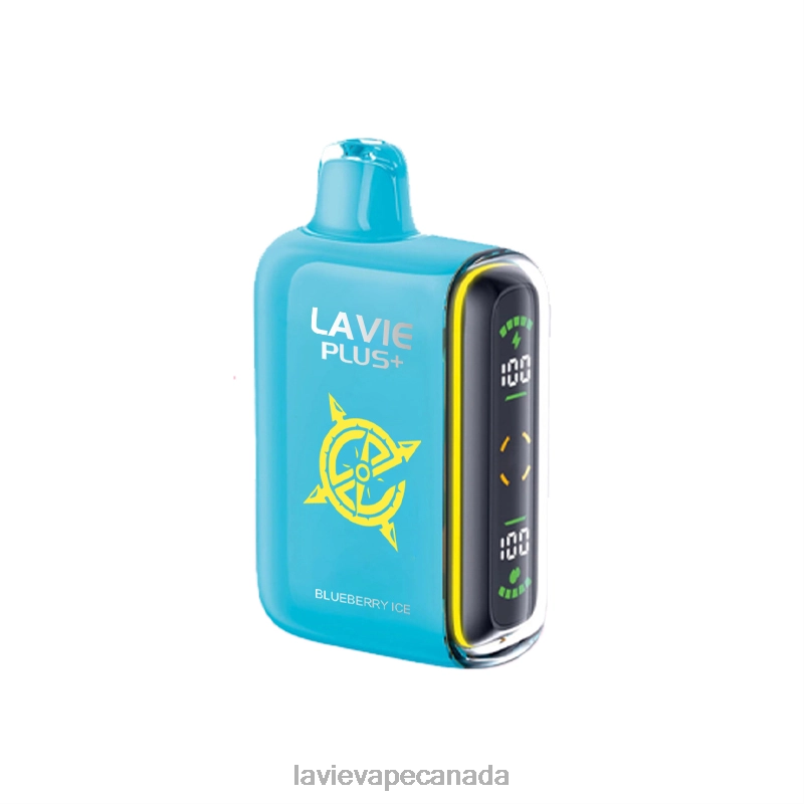 Blueberry Ice LAVIE PLUS 15000 Puffs 24PF8101 | Lavie Vape Juice