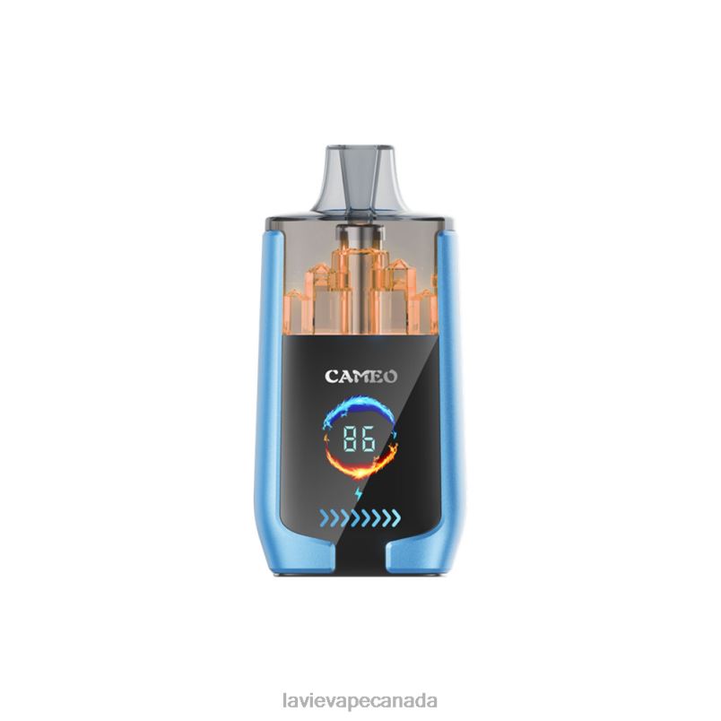 Strawberry Ice LAVIE CAMEO 30000 Puffs 24PF813 | Lavie Vape Canada