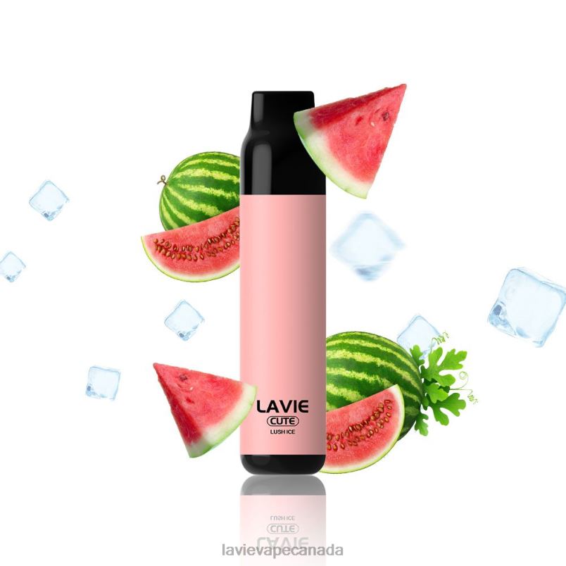 Lush Ice LAVIE BAR 3000 Puffs 24PF8285 | Lavie Vape Review
