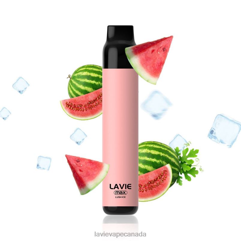 Lush Ice LAVIE BAR 5000 Puffs - MAX 24PF8277 | Lavie Vape Canada