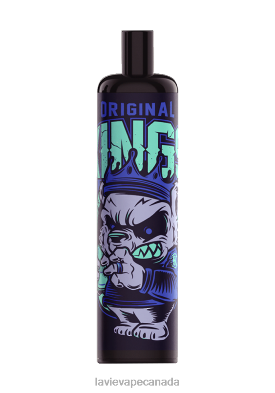 Lush Ice LAVIE COLOUR BAR 5000 Puffs - Energy 24PF8338 | Lavie Vape Price