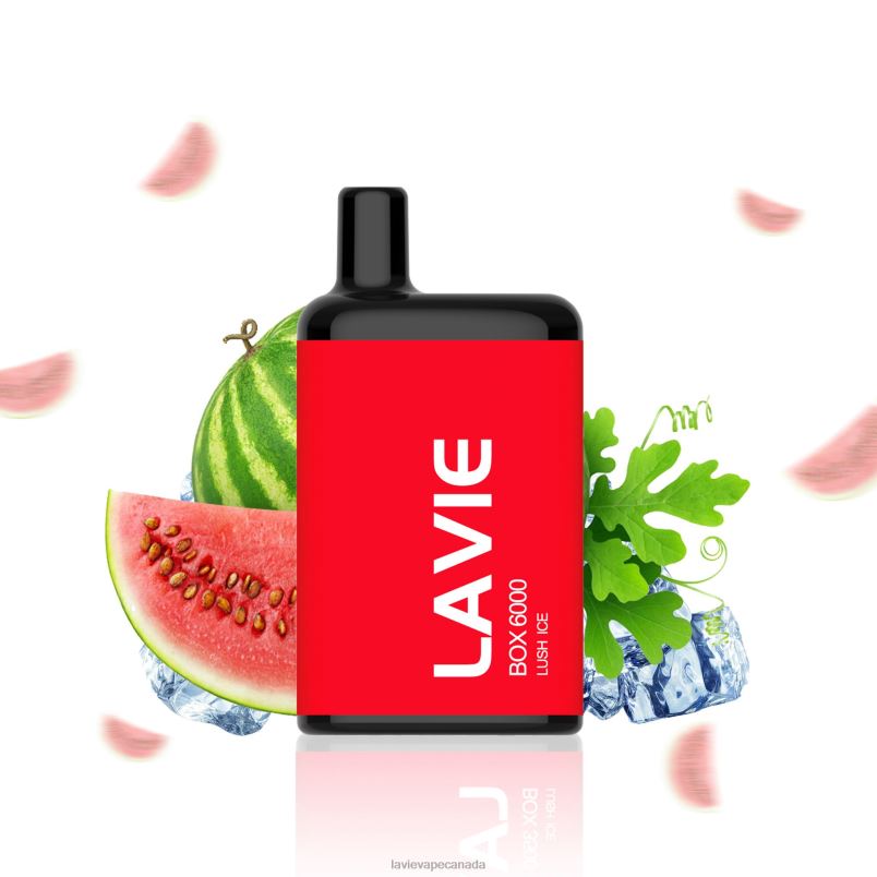 Lush Ice LAVIE BOX 6000 Puffs 24PF8199 | Lavie Vape Canada