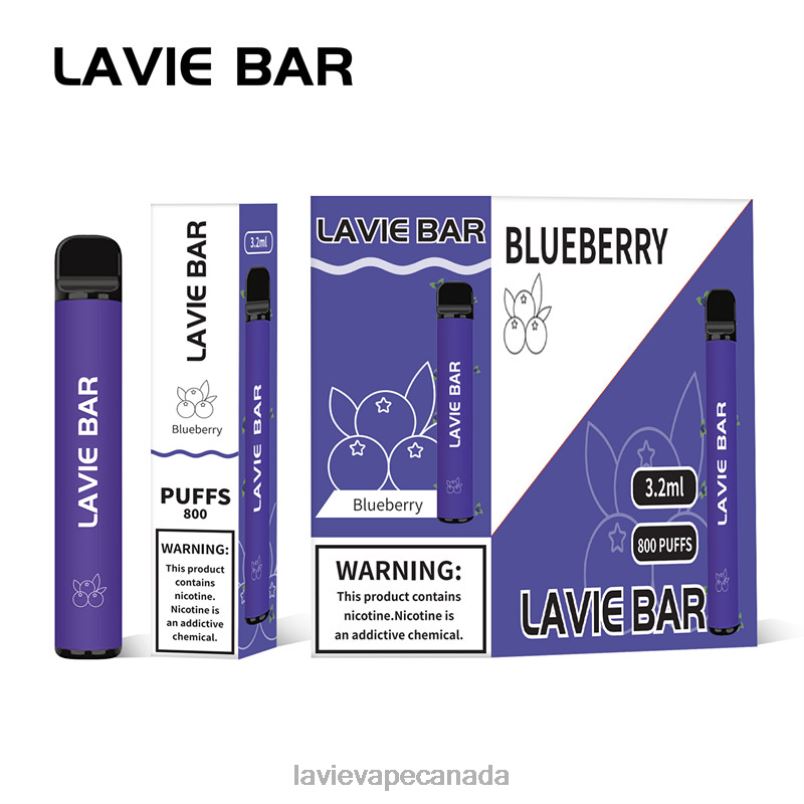Blueberry Ice LAVIE BAR 800 Puffs 24PF8310 | Lavie Vape Reddit