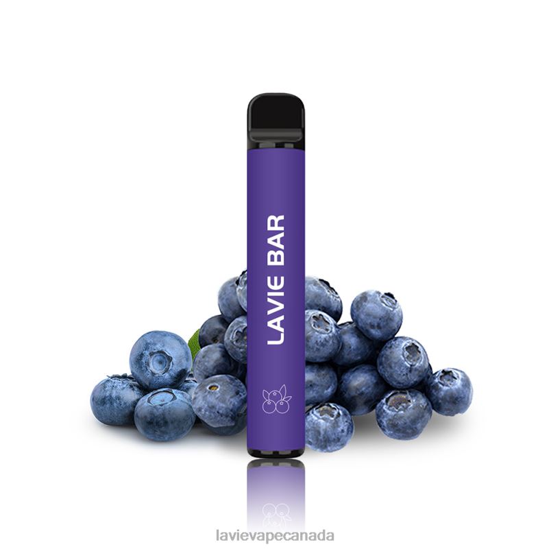 Blueberry LAVIE BAR 2% Version 800 Puffs 24PF8318 | Lavie Bar Vape Price