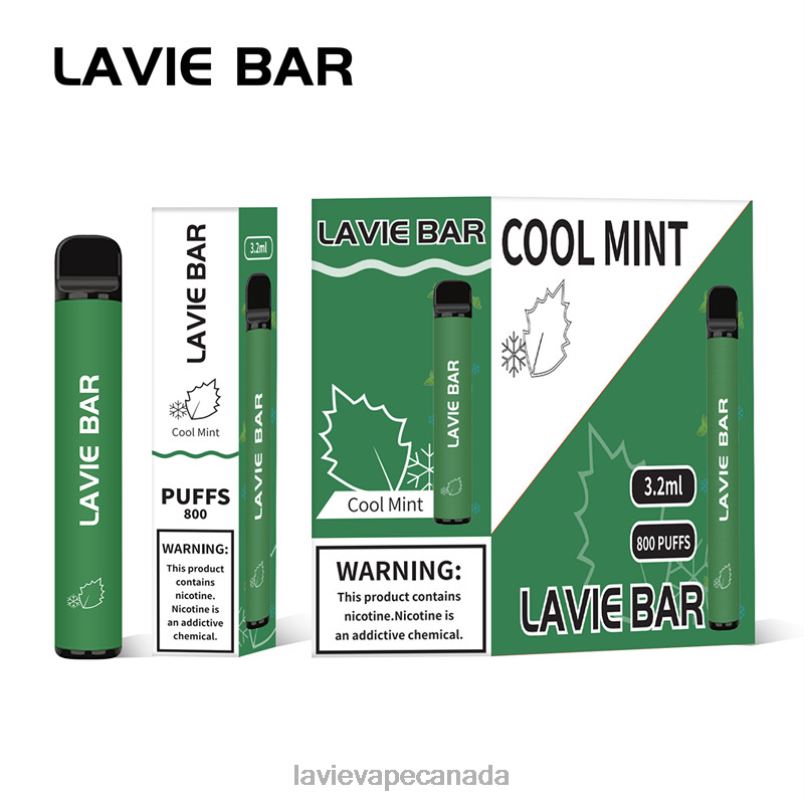 Cool Mint LAVIE BAR 800 Puffs 24PF8311 | Lavie Vape Juice