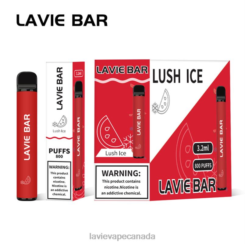 Lush Ice LAVIE BAR 800 Puffs 24PF8308 | Lavie Vape Price