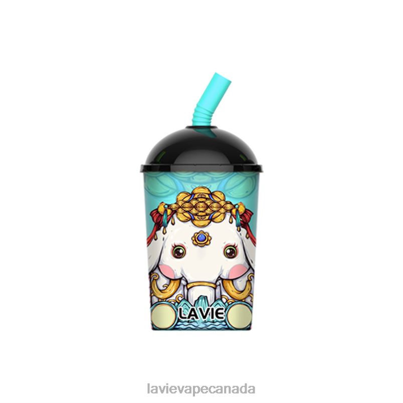 Mint Ice