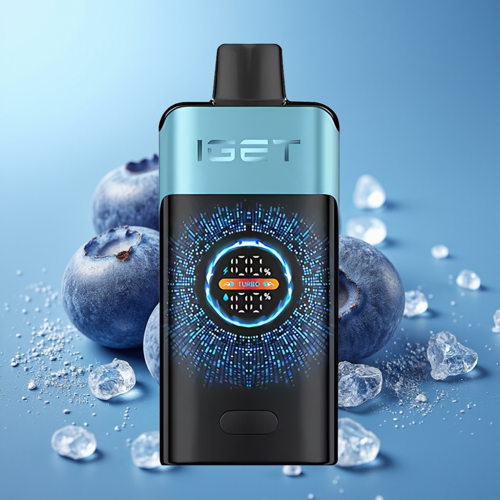 IGET ONE 12000 Puffs 2700mAh Dual Mesh Blueberry Ice vape Canada wholesale