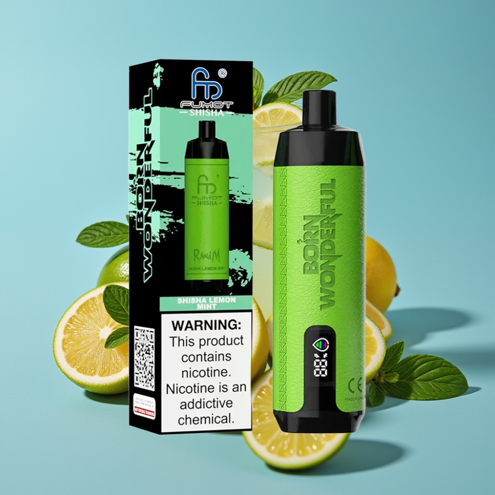 RandM Fumot Shisha 10000 Puffs 18mL Disposable Vape Shisha Lemon Mint