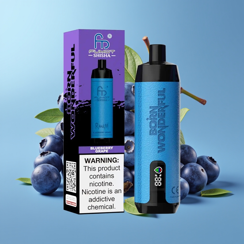 RandM Fumot Shisha 10000 Puffs 18ml 850mAh Mesh Blueberry Grape