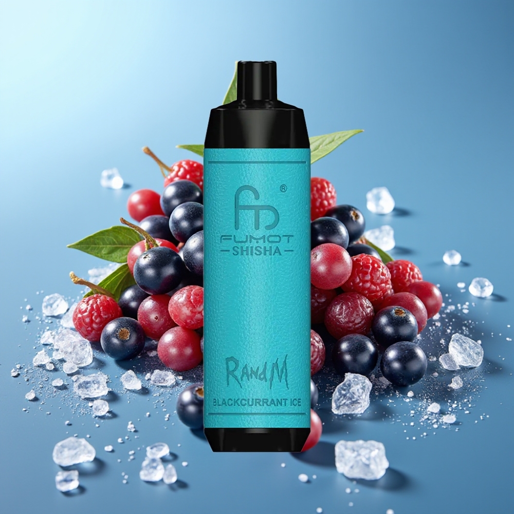 RandM Fumot Shisha 10000 Puffs 18ml 850mAh Type-C Blackcurrant Ice