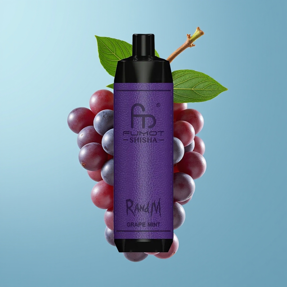 RandM Fumot Shisha 10000 Puffs 18ml 850mAh Type-C Grape Mint
