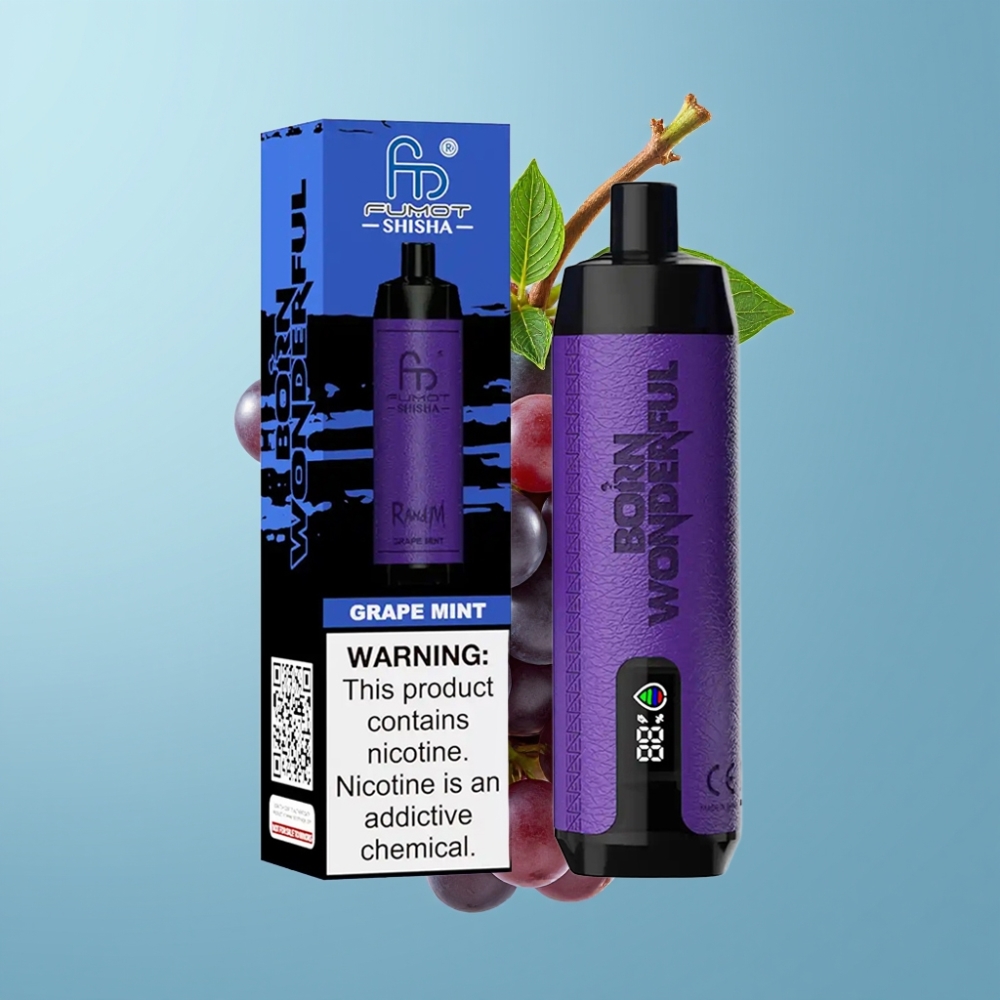 RandM Fumot Shisha 10000 Puffs 18ml 850mAh Type-C Grape Mint