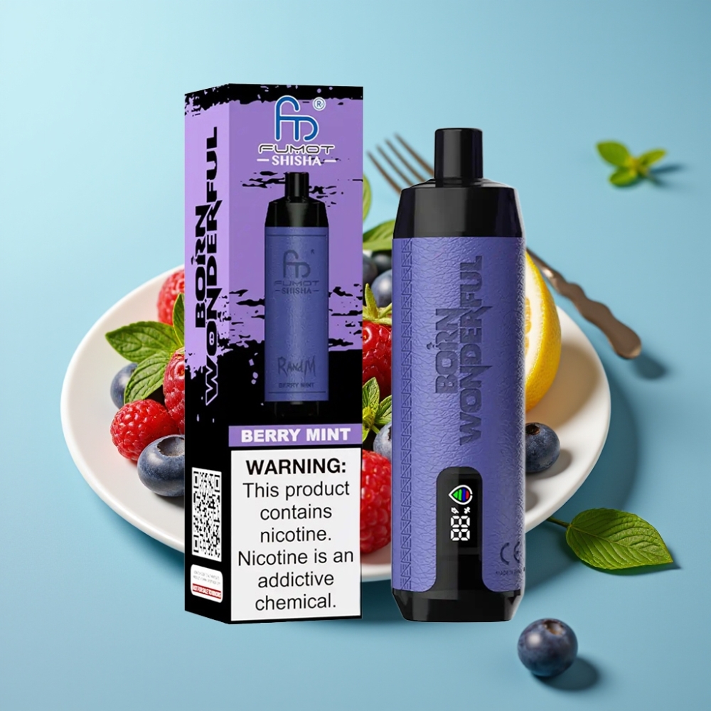 RandM Fumot Shisha 10000 Puffs 18ml Berry Mint Disposable Vape