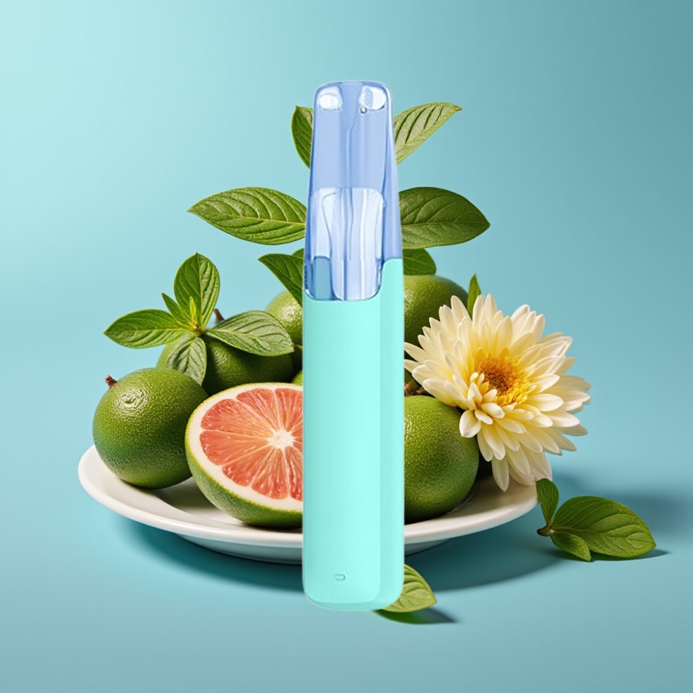 Snowplus Dash 4000 Puffs Ceramic 7.5ml Menthol Plus vape Canada wholesale